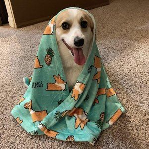 Corgi Pineapple Blanket